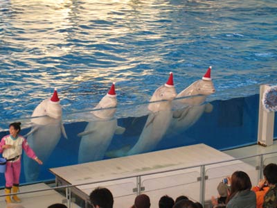 2006.12.2.1.jpg