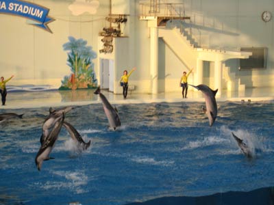 2006.12.2.2.jpg